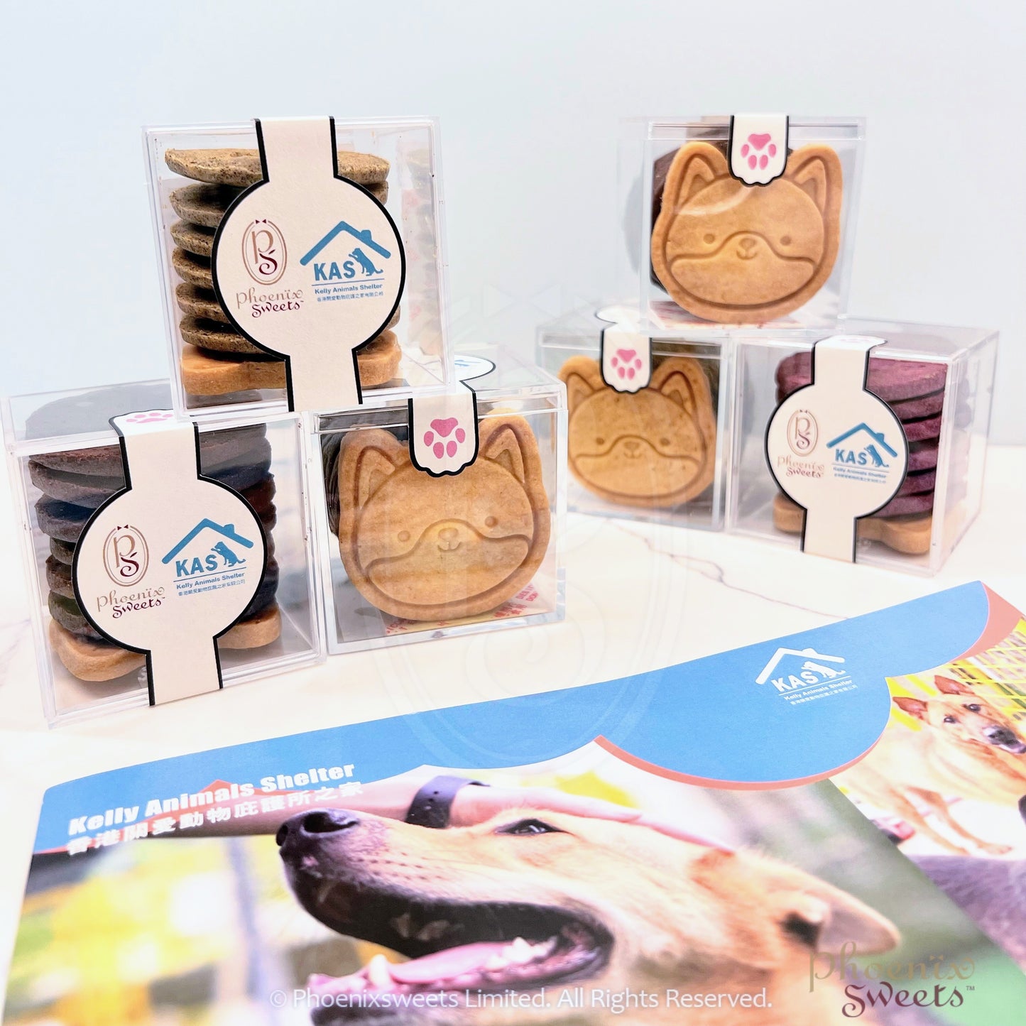 Cookie - Selected Homemade Cookie (Plastic Box Pack) / KAS (Kelly Animals Shelter) Special Edition
